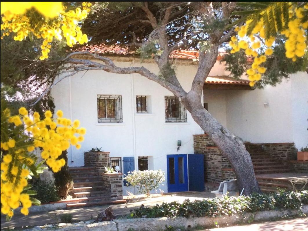 Villa Bleue - Les Pins Port Vendres Exterior foto